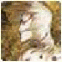 c.l.i.f.f.7.7.w.a.tkins8.wh.i.thlo.o.n.y.p.uck.9